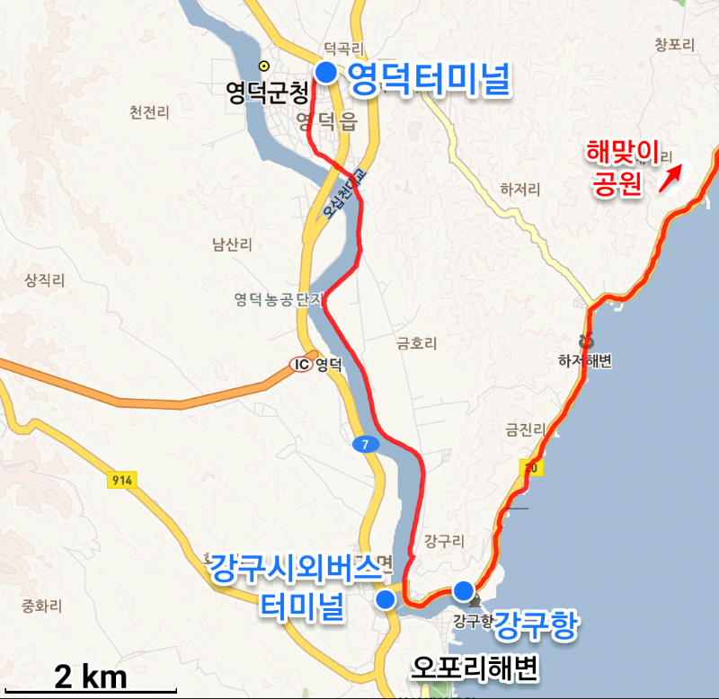 영덕터미널-강구항 경로 지도